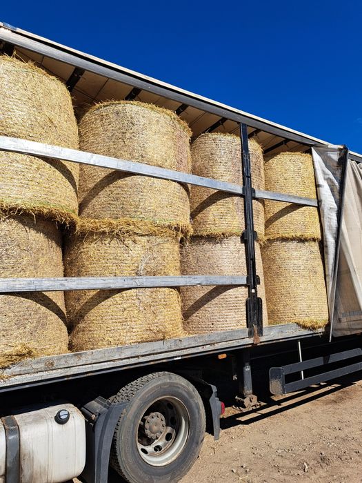 Słoma sucha dla zwierząt / ściółka dla koni bydła / słoma w balotach