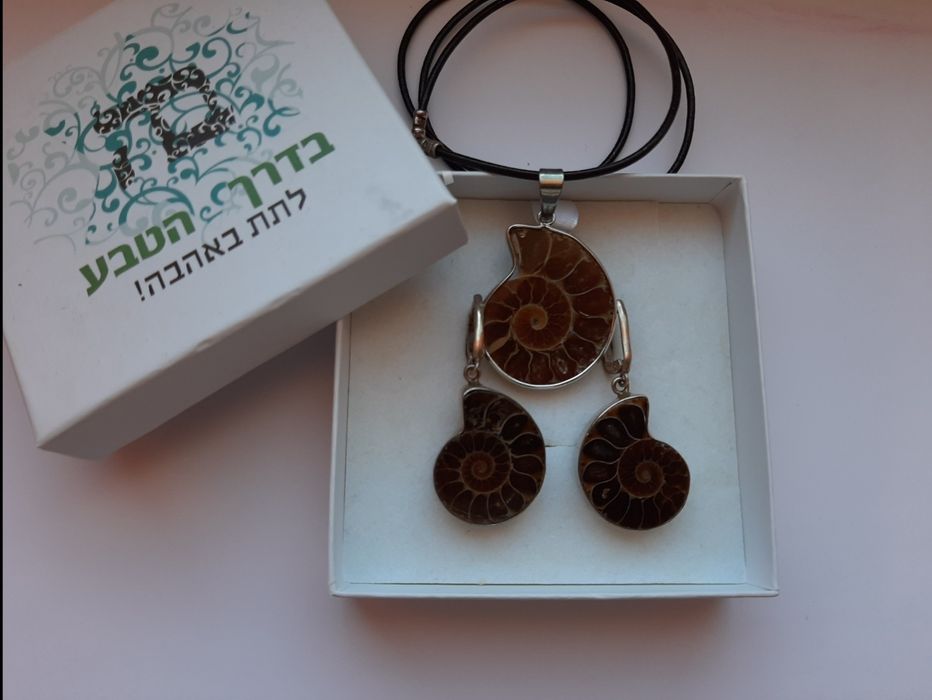 Аммонит украшения