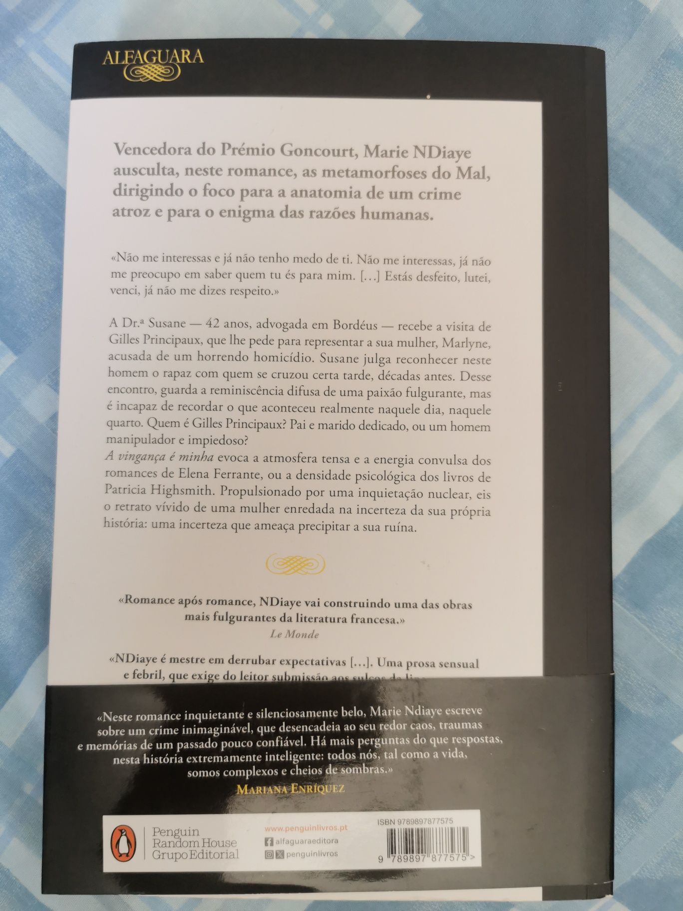 A Vingança é Minha de Marie NDiaye