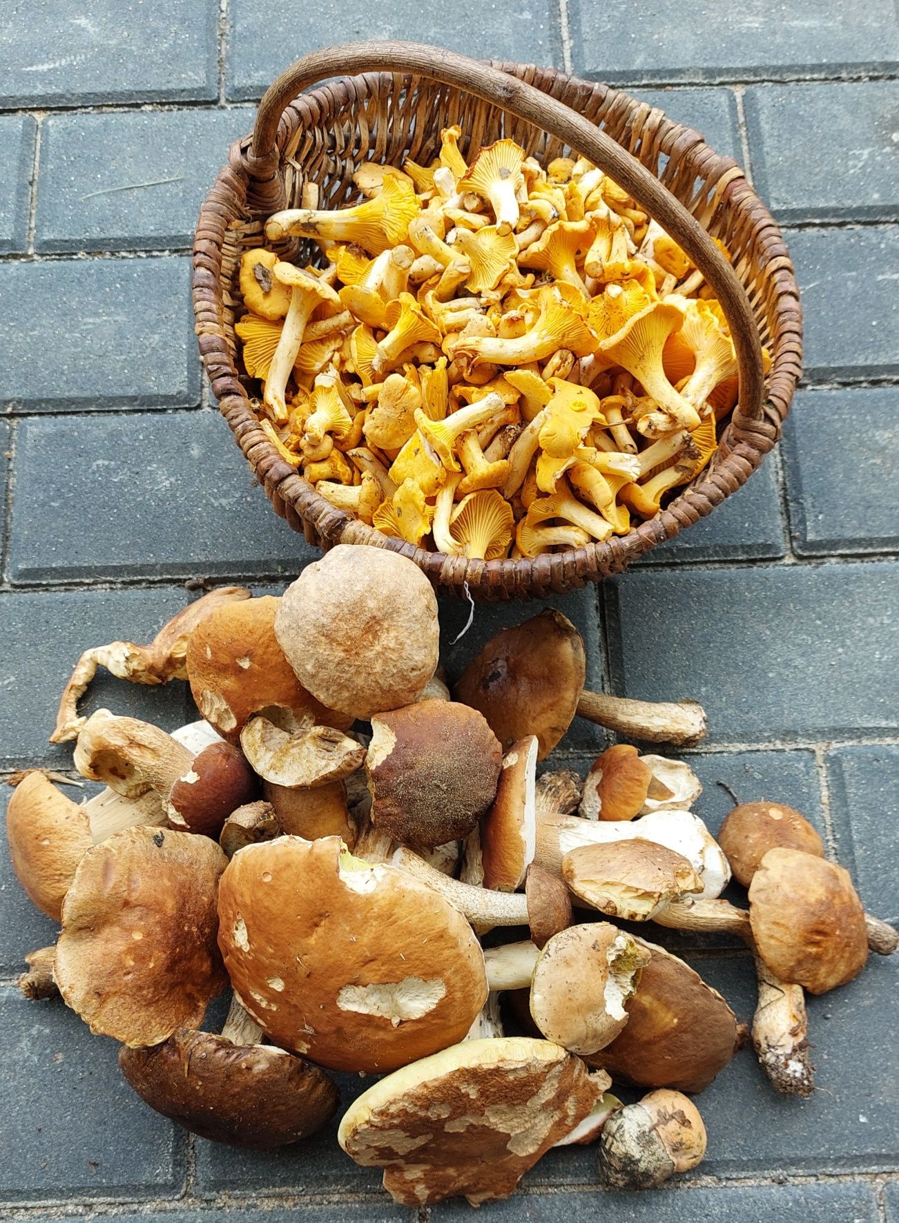 Agroturystyka Brzozowy Staw