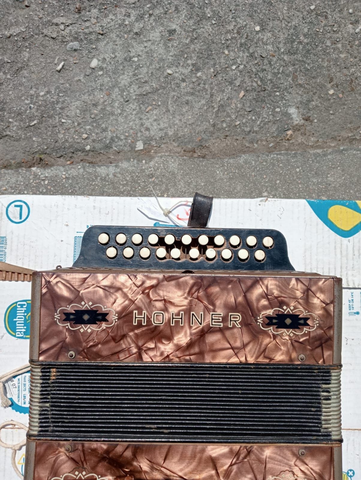 Rzadki akordeon HOHNER
