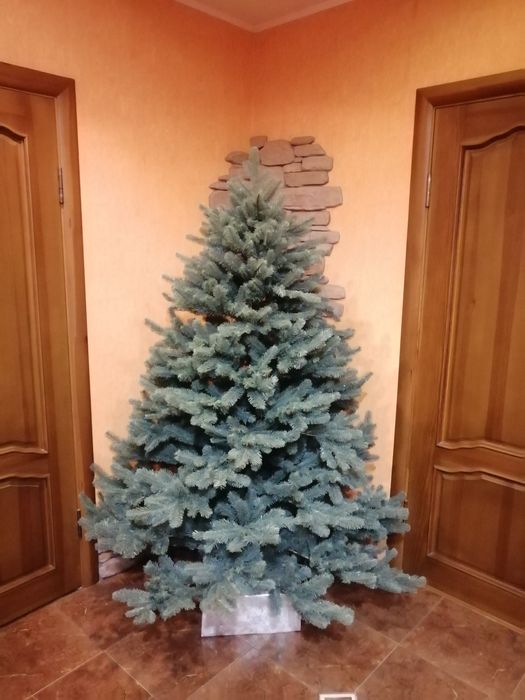 Kvazar Шикарная альпийская голубая елка