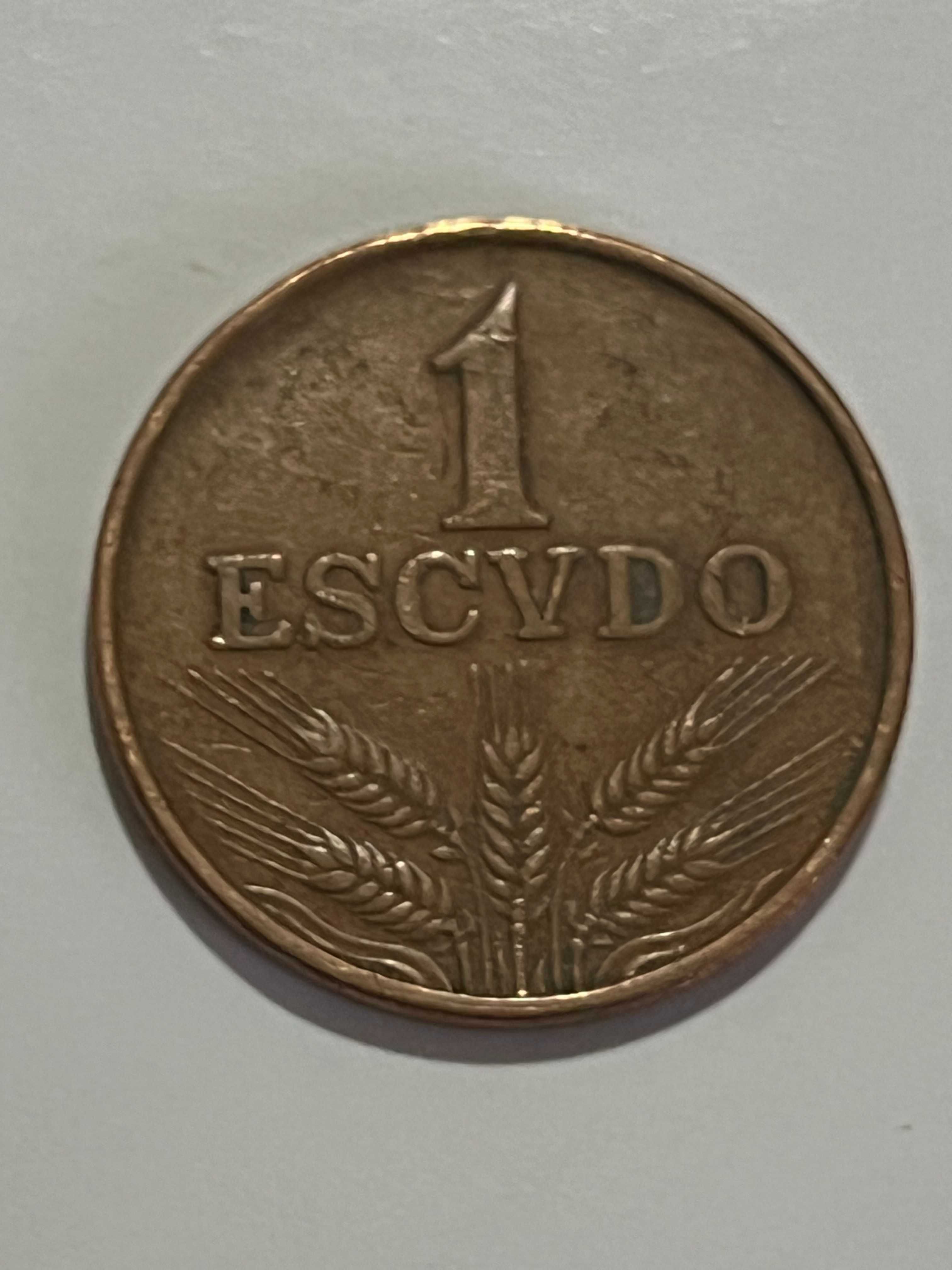 Moedas de escudo