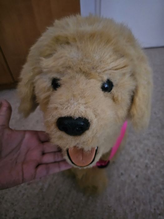 Furreal friends hasbro interaktywny pies