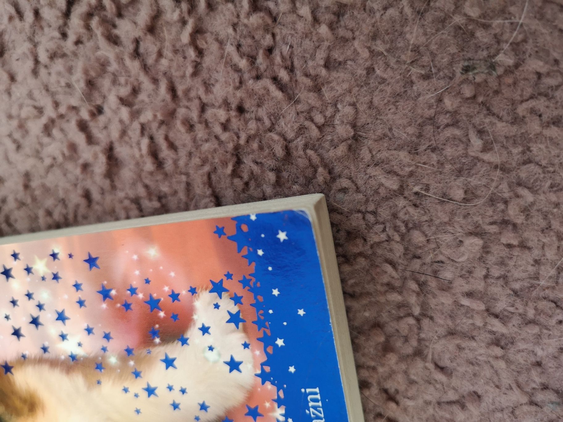 Magiczny piesek Przyjaźń na zawsze