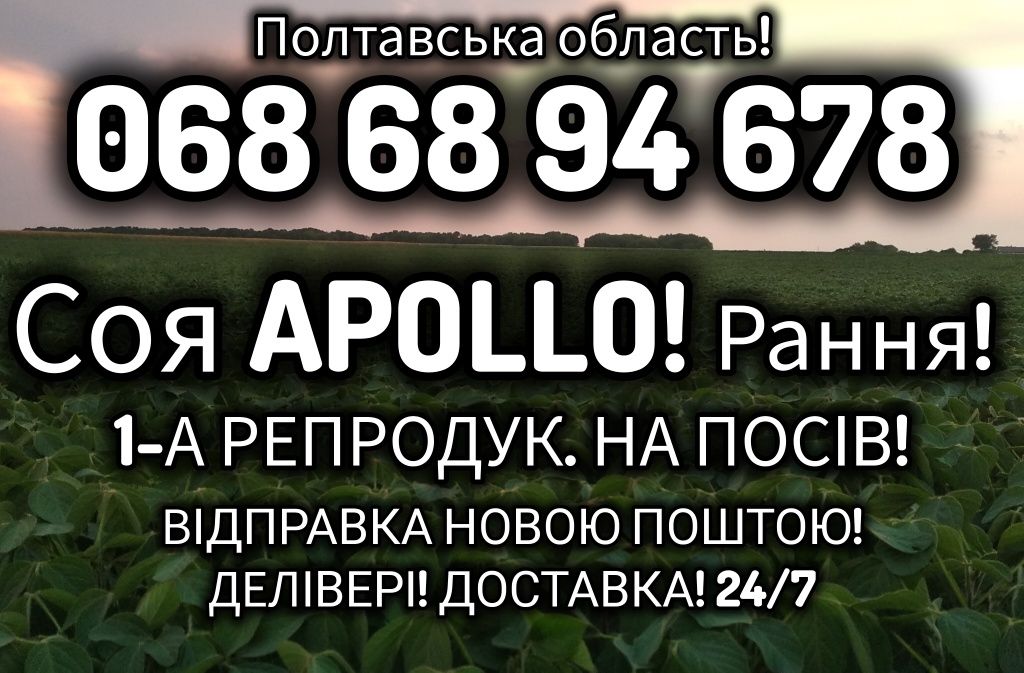 Соя Аполло! Рання! 1-А РЕПРОДУК. На ПОСІВ! Відправка НОВОЮ ПОШТОЮ!