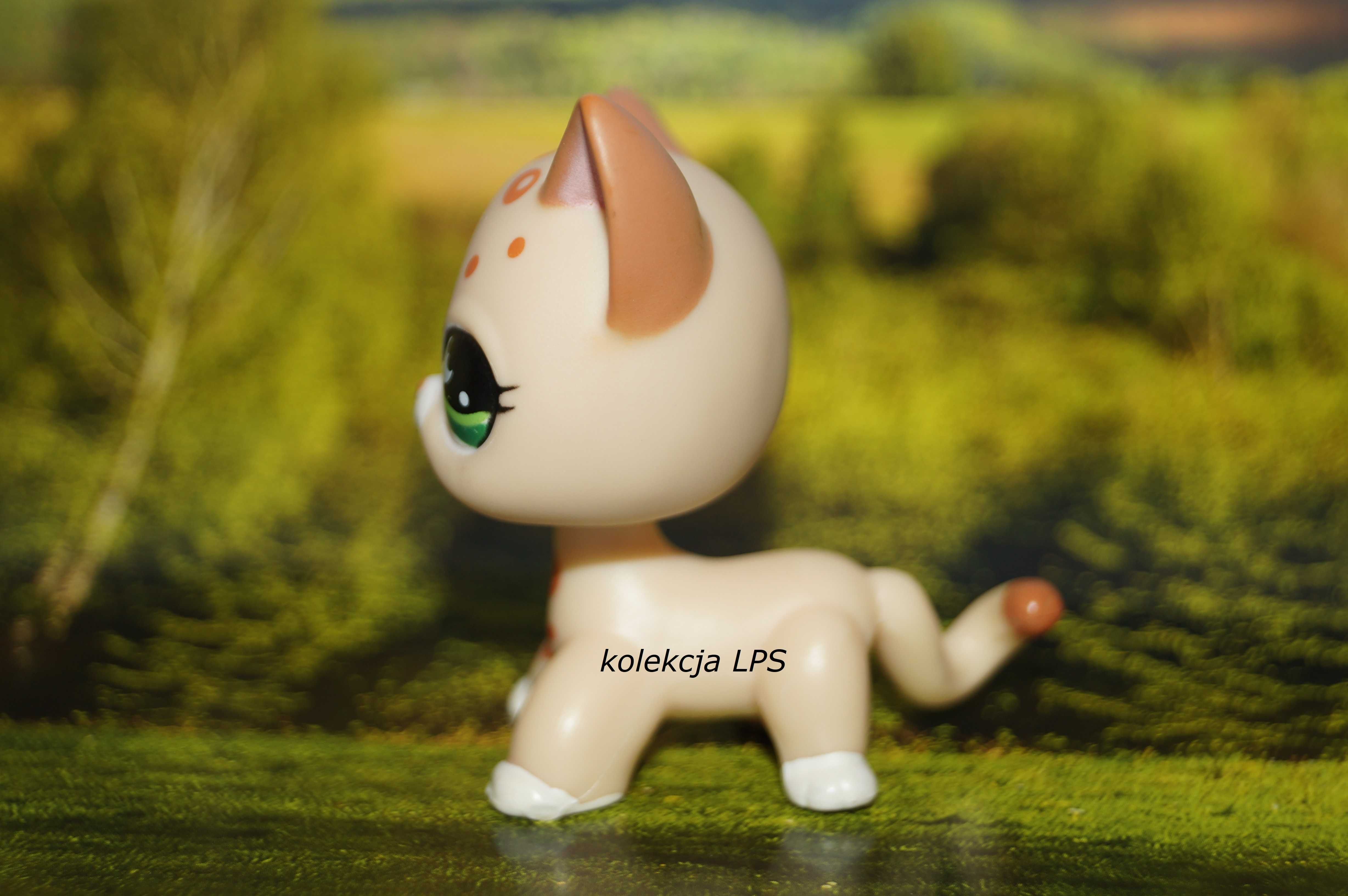 LPS Littlest Pet Shop shorthair #852 oryginalny POP oryginał UNIKAT