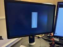 Monitor Dell 22 cale pivot sprawny