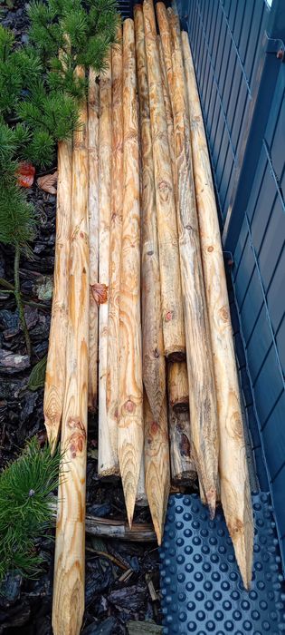 Palik podpora stempel