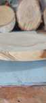 Plastry Brzozy 20cm