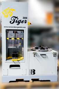 Bergamini Tiger 300 - Reciclagem de motores eléctricos