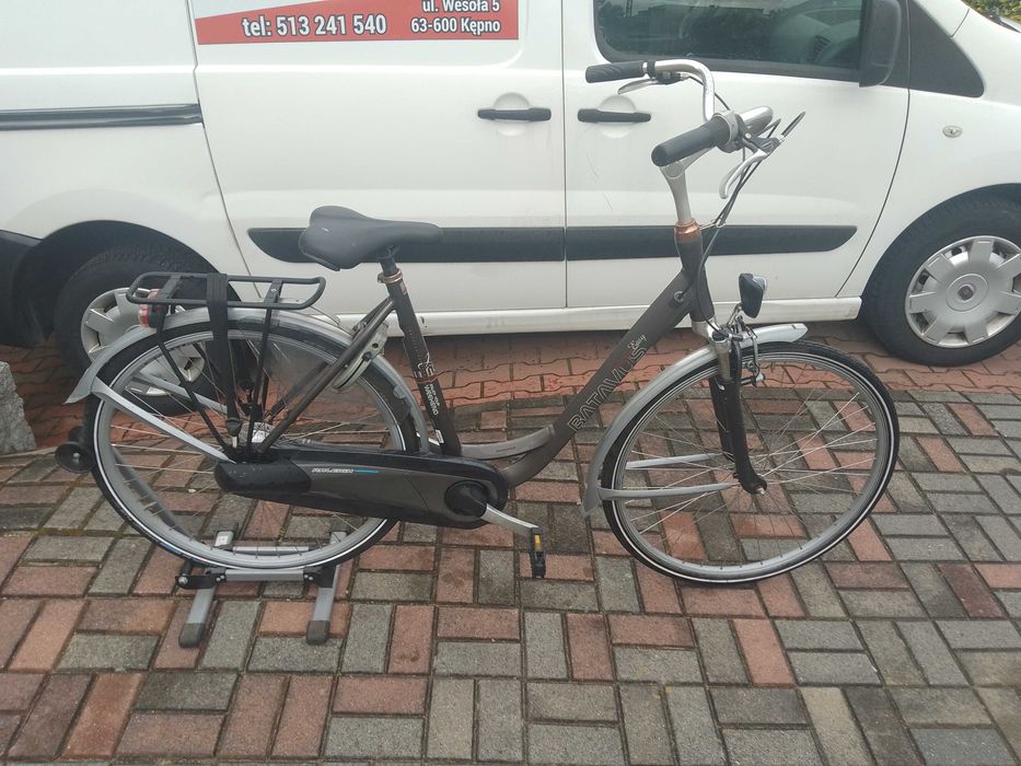 Rower Batavus Nexus 7 damski