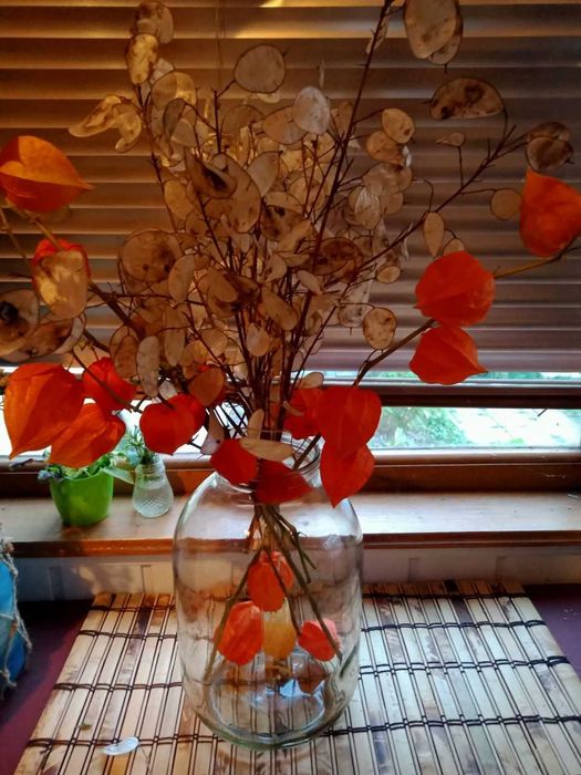 Сухоцвіти( мак, льон, кермек, лаванда,жито,овес,лагурус,фізаліс)