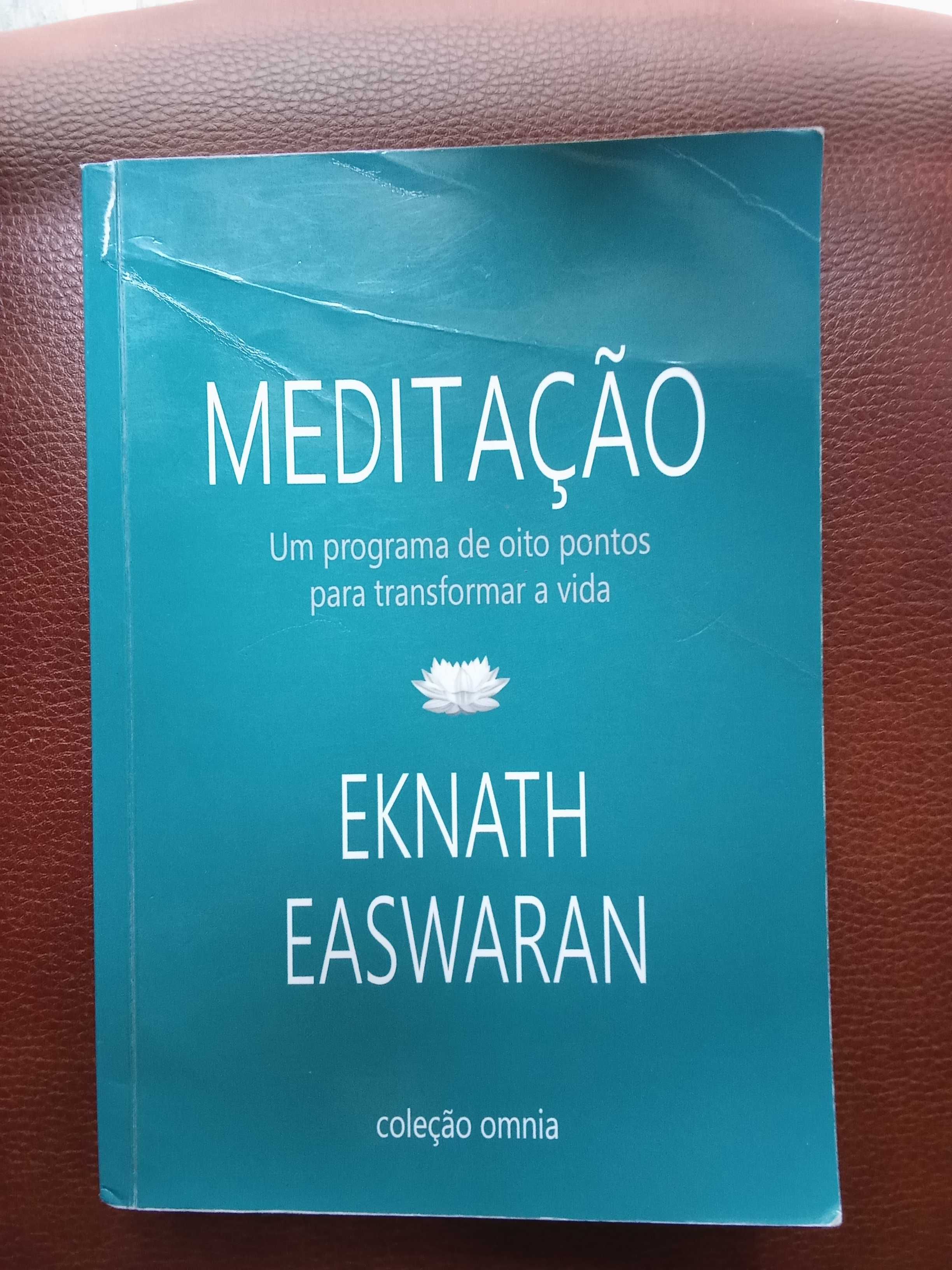 Meditação - Eknath Easwaran