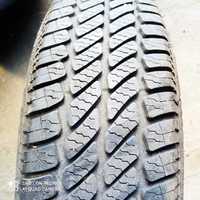 Opona 165/70R14 Sava Adapto 1 szt.