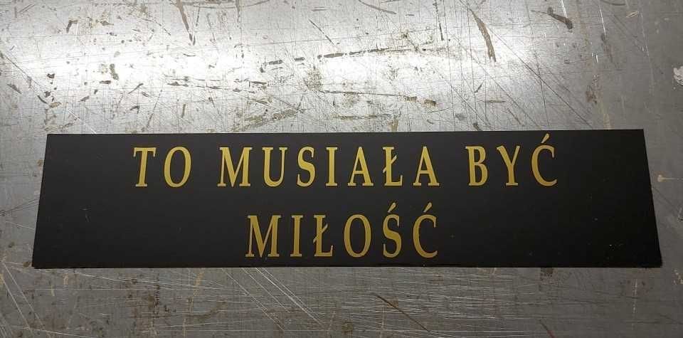 Tablice auta Młoda Para To musiała być miłość 2szt wodoodporne PCV