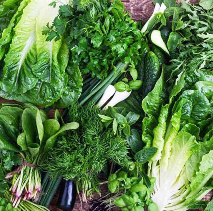 Укроп , Петрушка, шпинат , щавель . Великий асортимент Опт та роздріб
