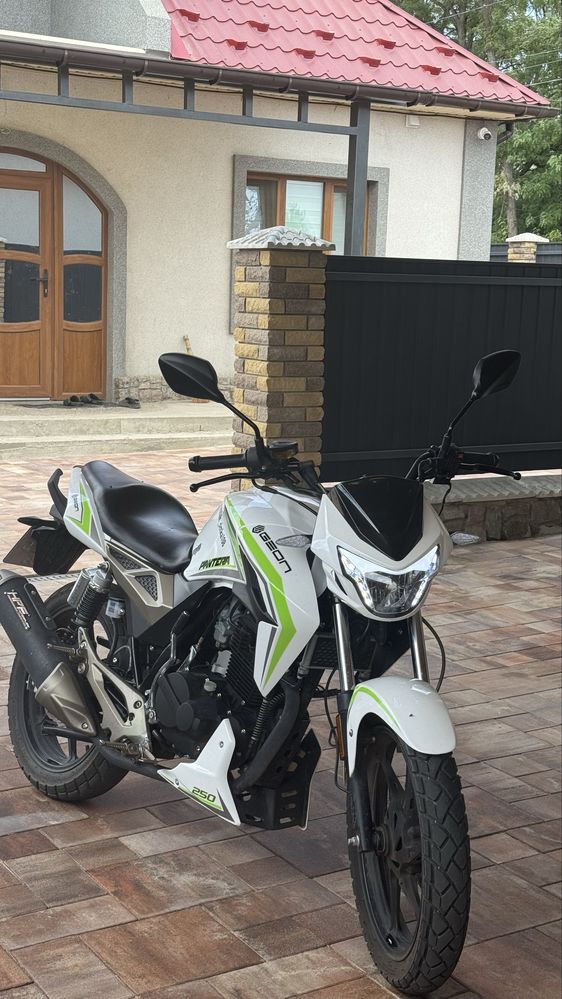 Geon pantera 250