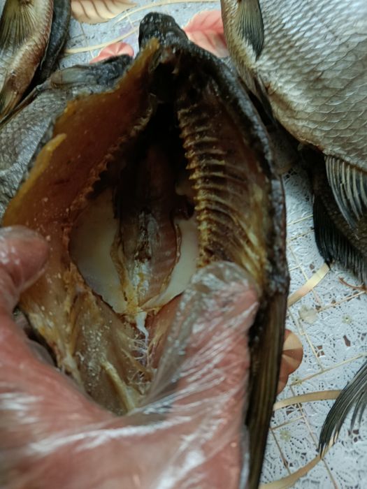 Риба копчена та в'ялена