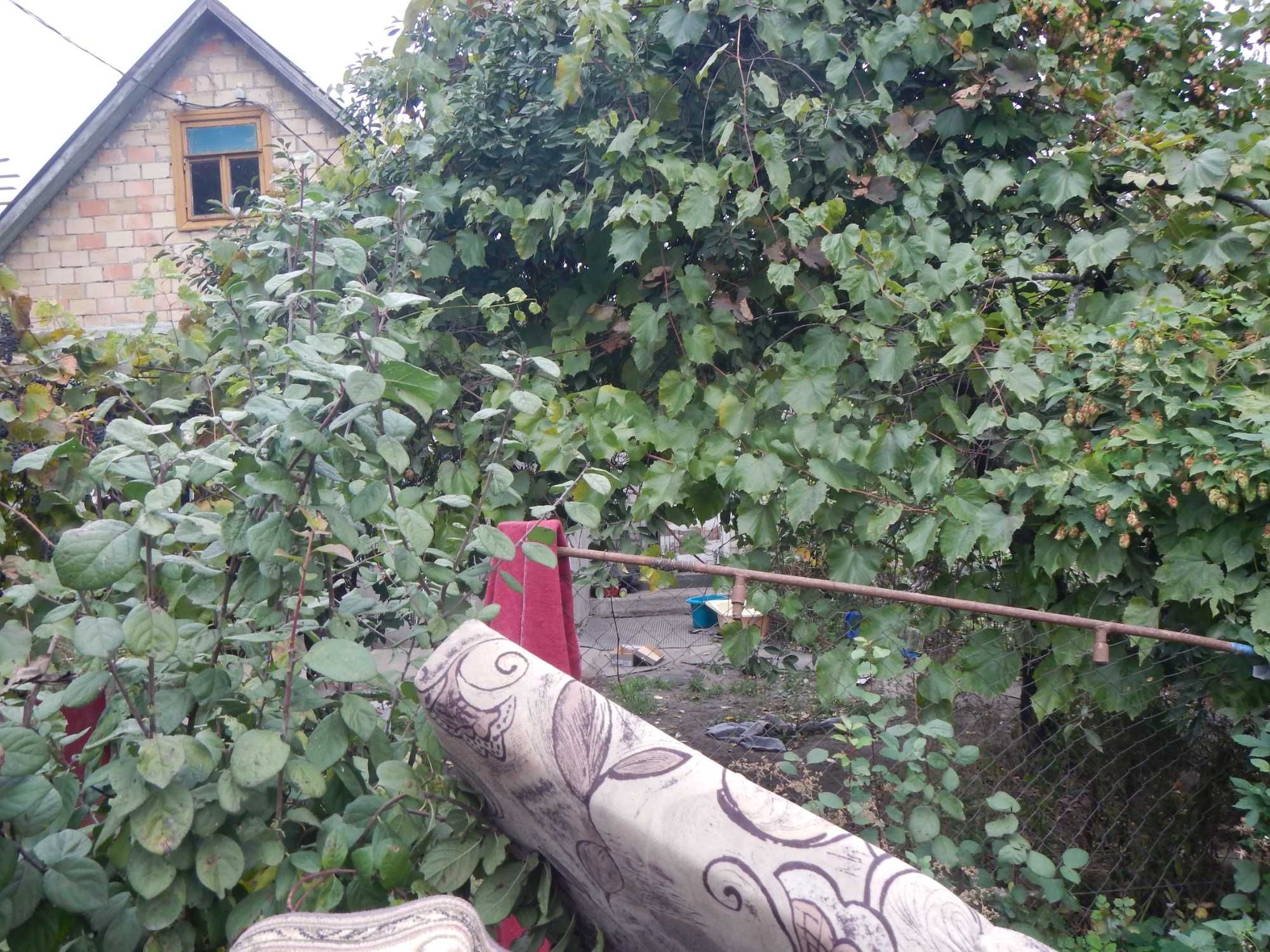 Нивки  ,5,5 соток ,охраняемый кот. городок , городские коммуникации!