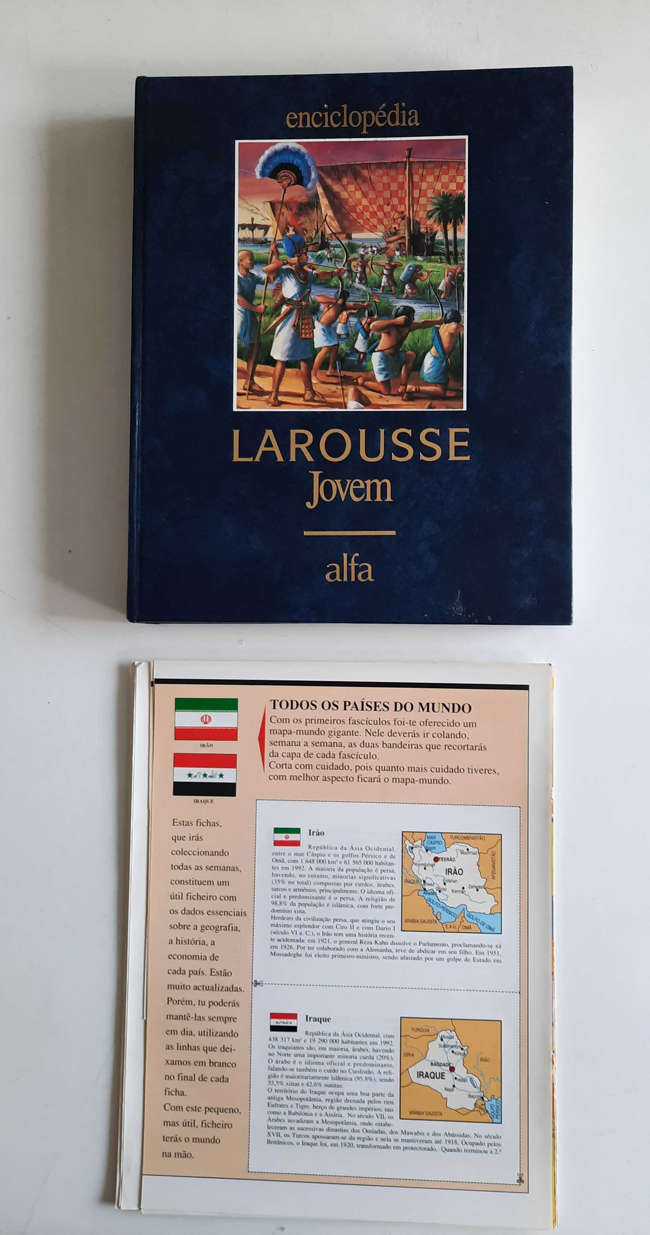 LAROUSE Enciclopédia Jovem 5 Volumes e fichas 7€