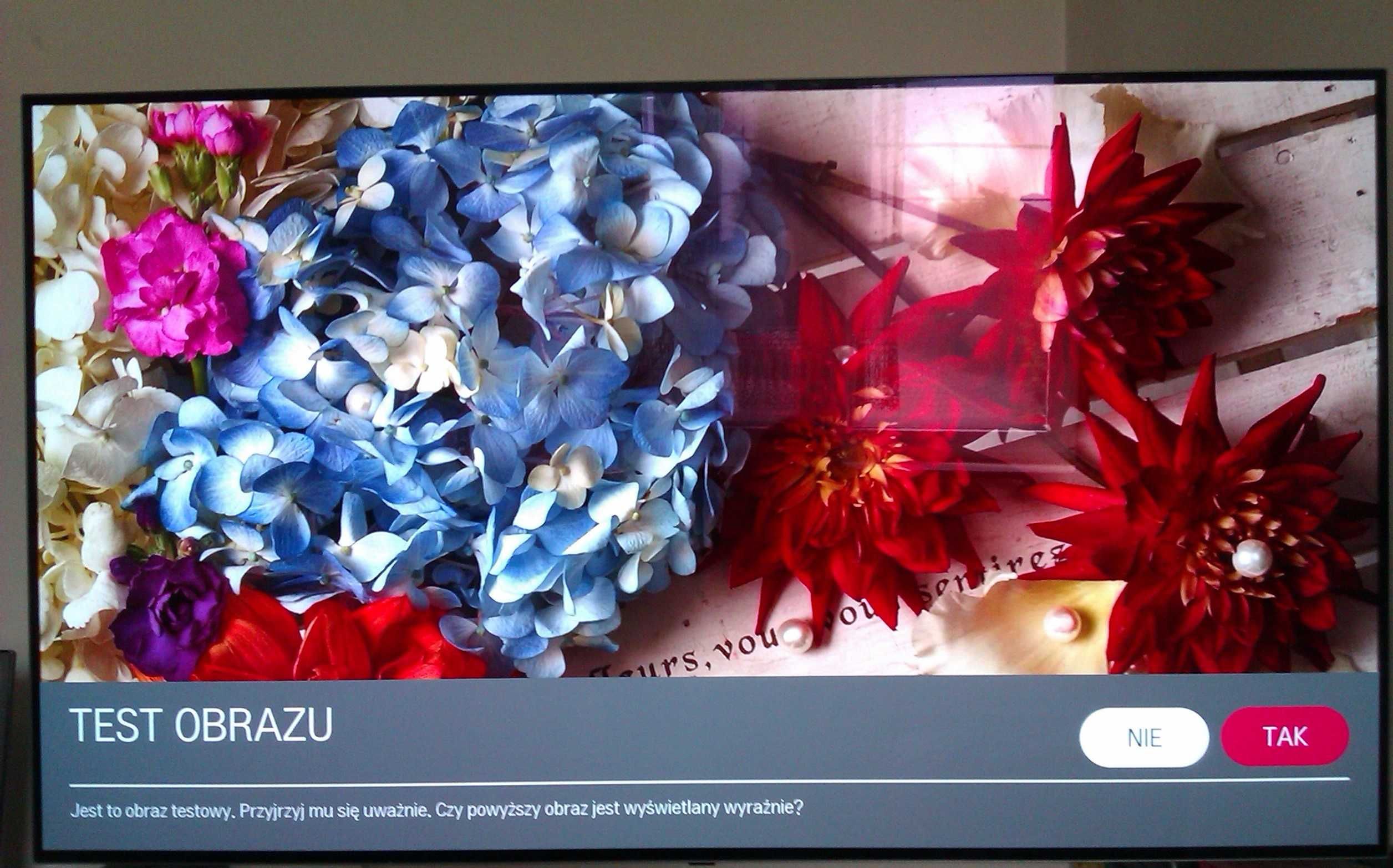 Lg 55EG9A7V OLED FullHD bez wypaleń