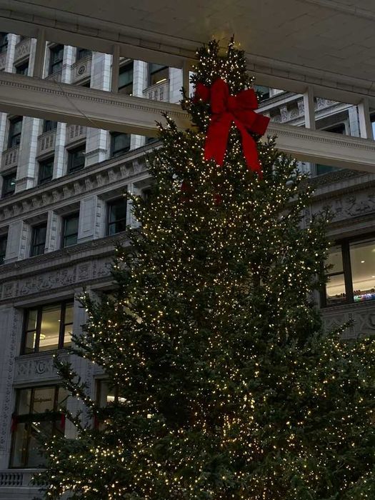 Гірлянда новорічна мішура хвойна лапа роса тепле світло Зелений кабель