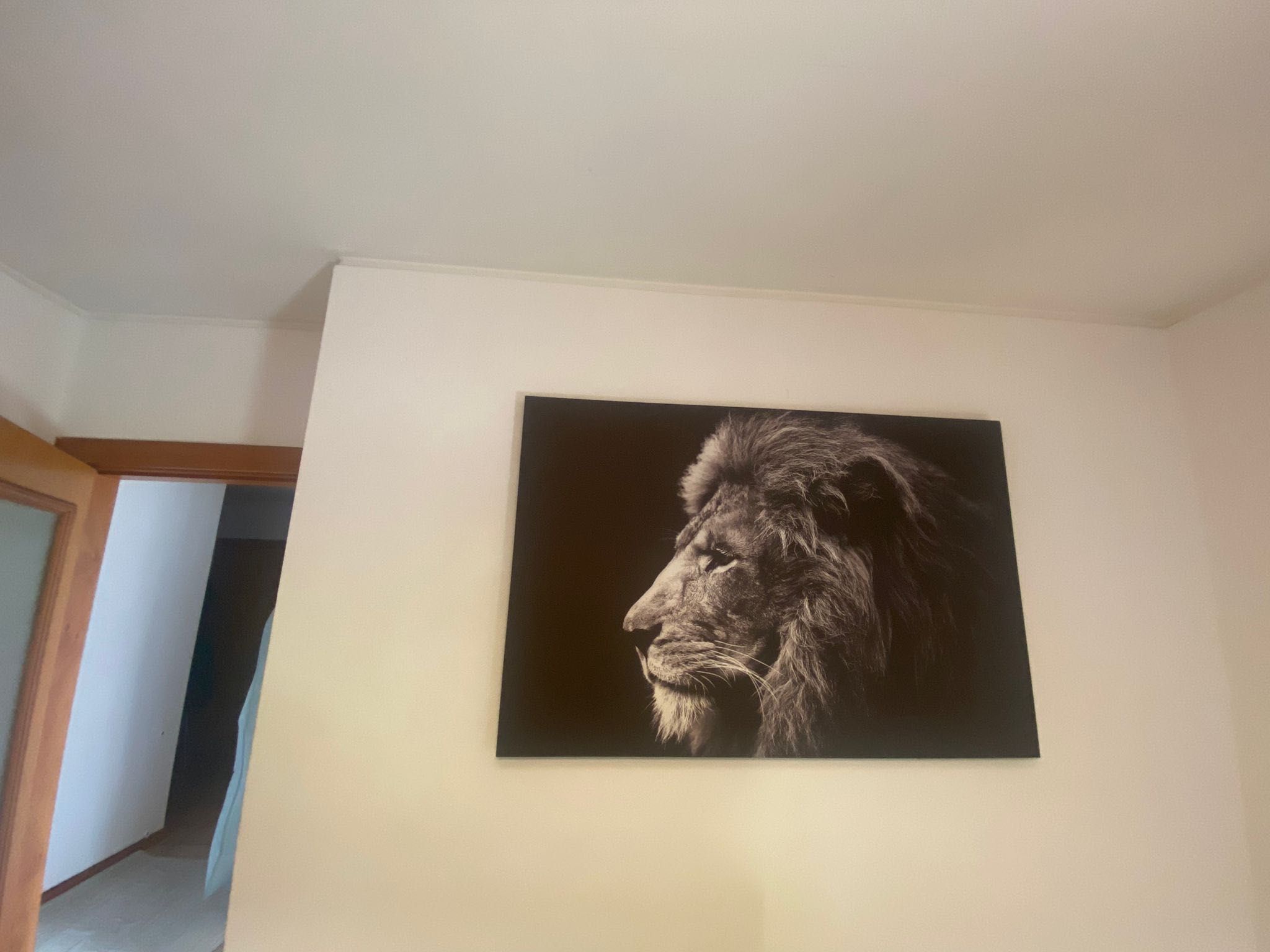 Quadro Leão Preto e Branco