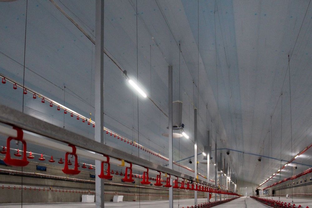 Styrodur XPS AGRO Termo Izolacja Ocieplenie Dachu Stropu Sufitu