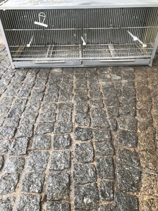 Cedo gaiolas em bom estado