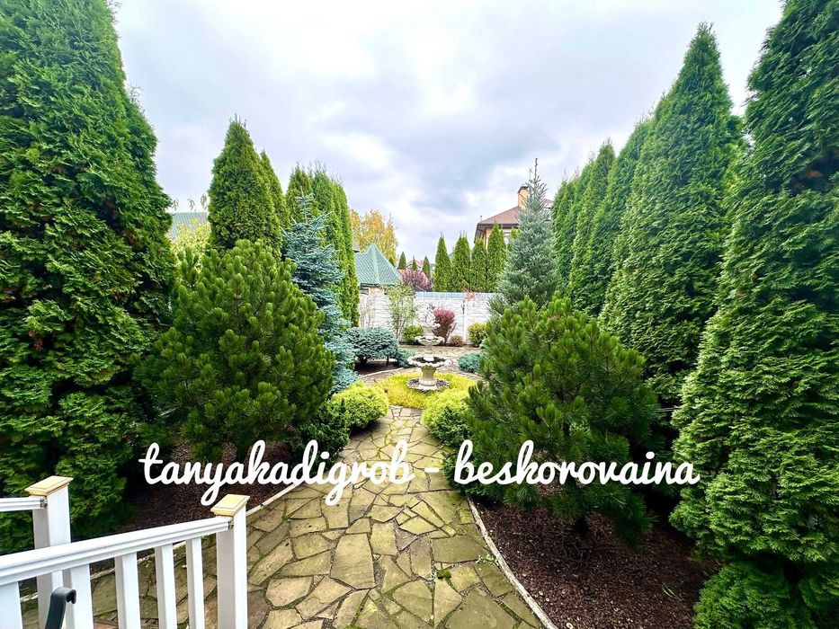 Оренда будинку ( таунхаус ), село Чайки