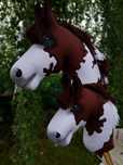 Hobby horse zamówienie