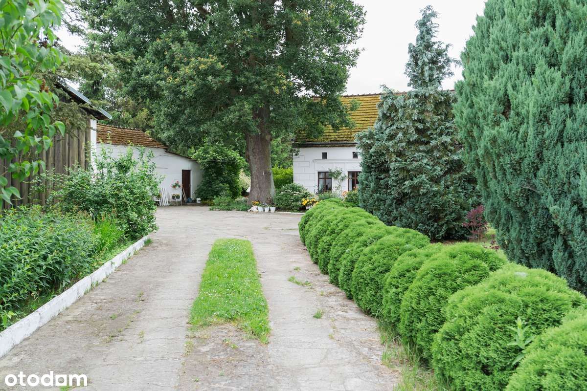 Dom z duszą i zabudowaniami gospodarczymi na dużej działce – Strzelewo
