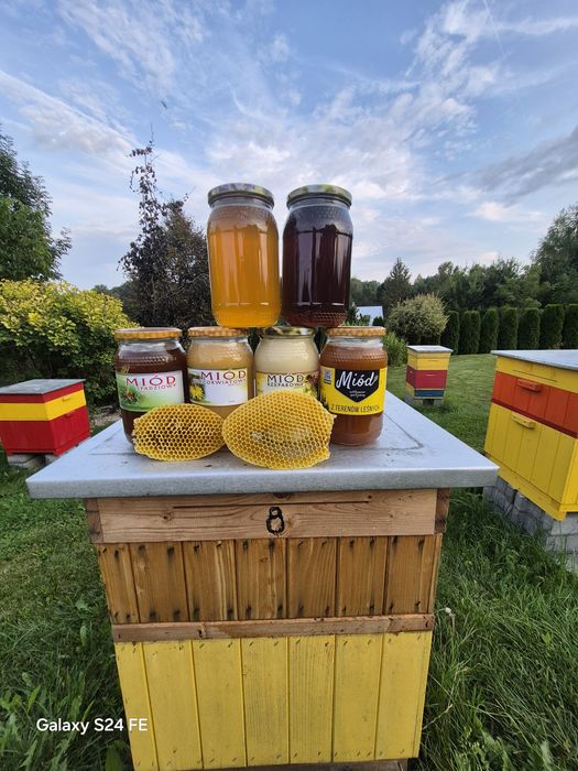 Naturalny Miód różne rodzaje