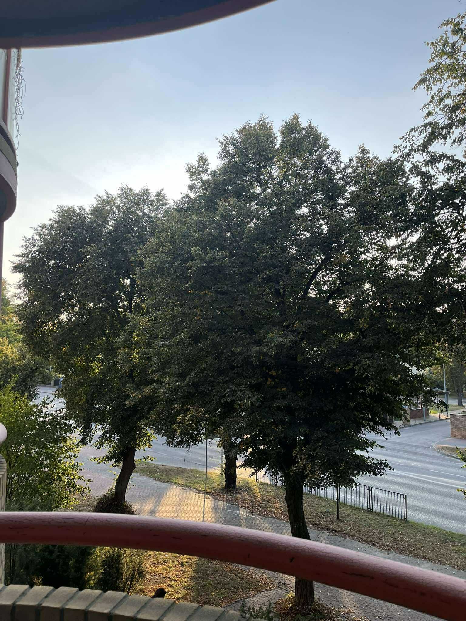Mieszkanie na wynajem 50m, AL. Partyzantów