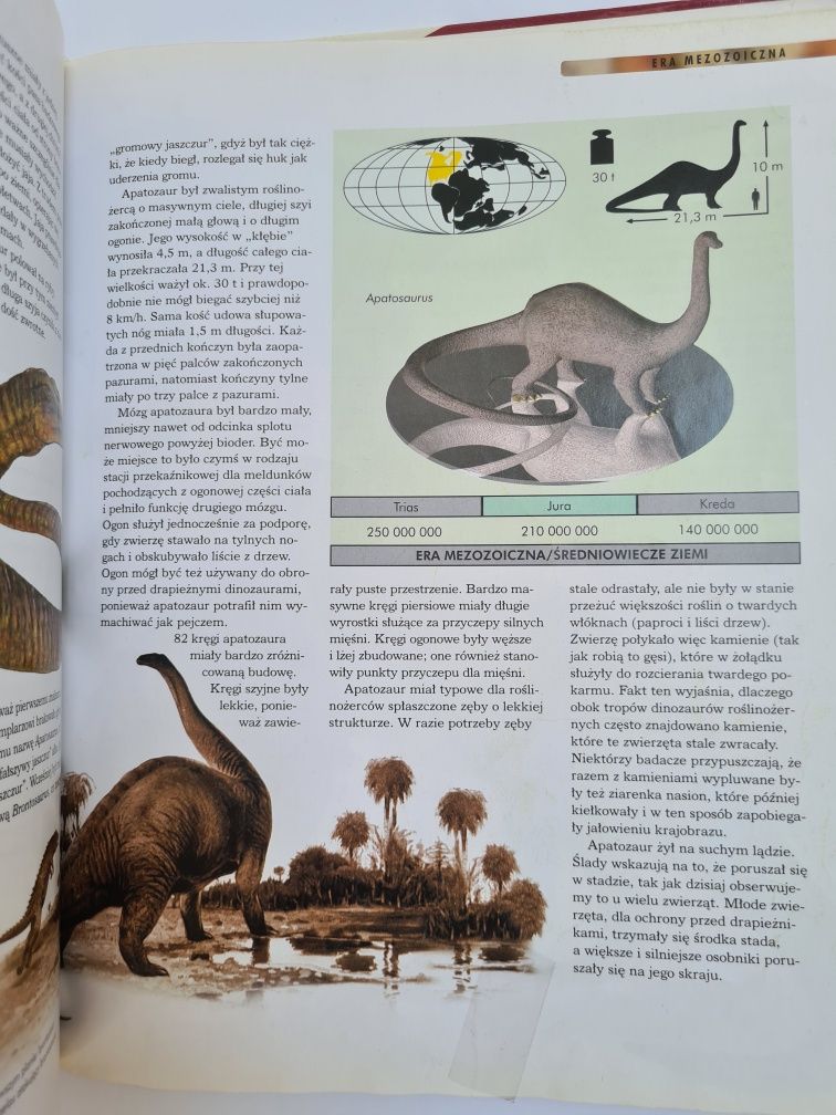 Dinozaury - Książka