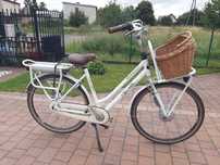 Rower elektryczny Miss Grace Gazelle D54