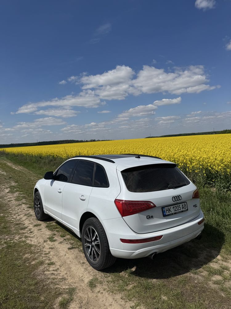Продам ауді Q5 в ідеальному стані