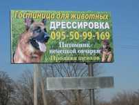 Дрессировка собак.
