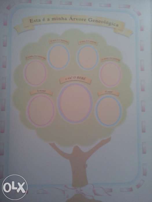 Álbuns em Prata de lei de nascimento bebe