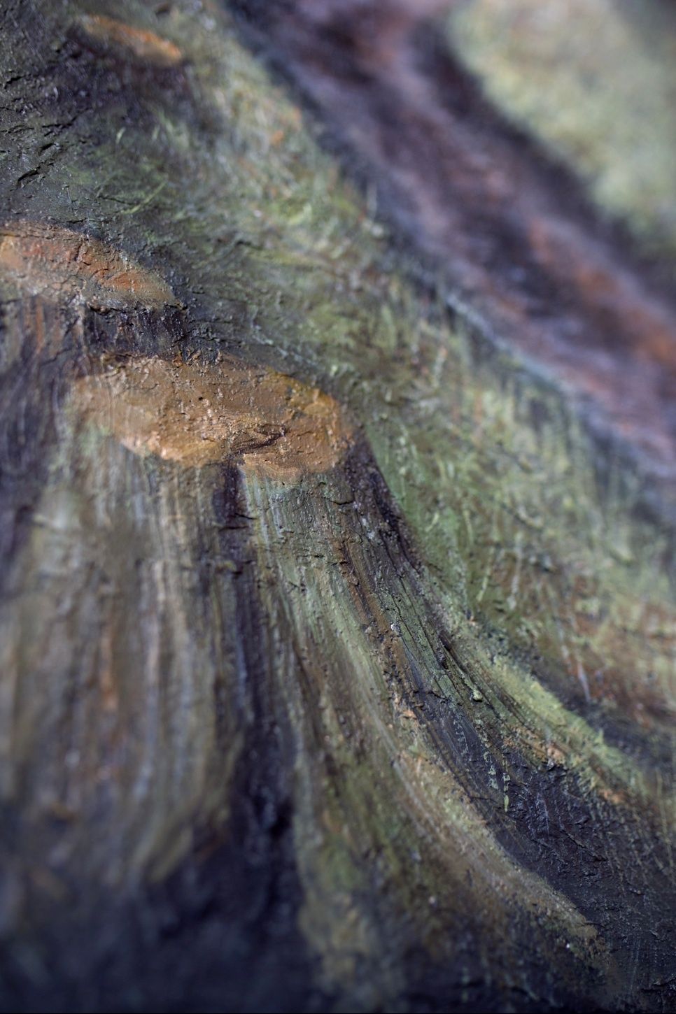 Obraz las natura zachód słońca