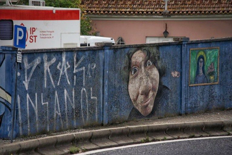 Nikon Nikkor DX 55-300 ED