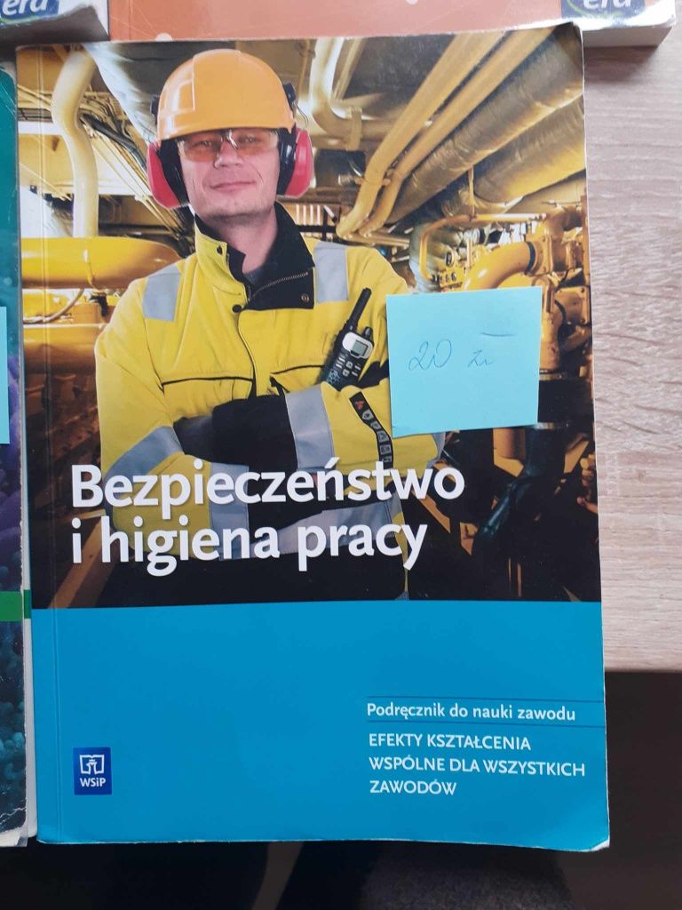 Bezpieczeństwo i higiena pracy rok wydania 2019