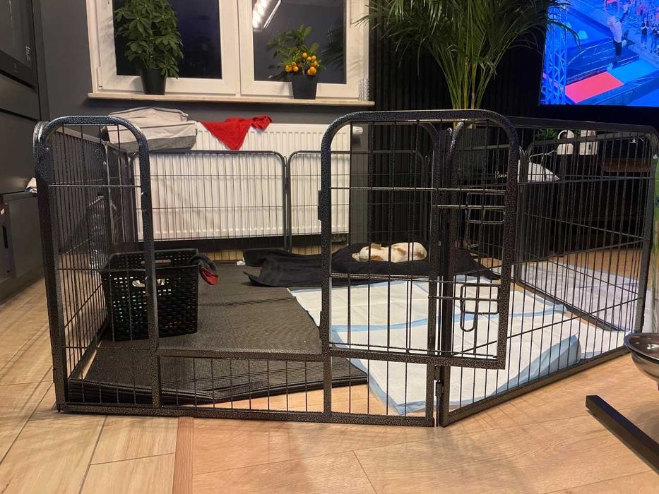 SOLIDNY Kojec dla zwierząt – Bezpieczny Wybieg hodowlany łatwy montaż