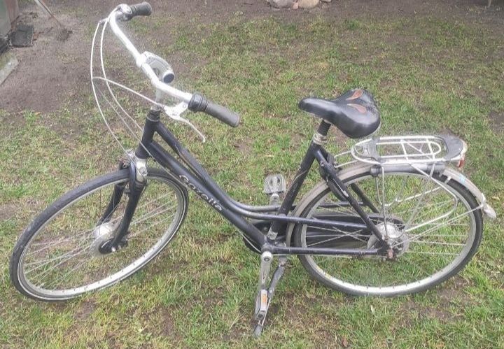 Rower treningowy Gazelle
