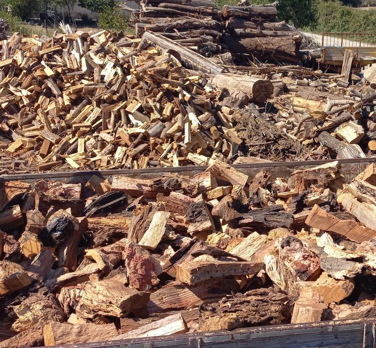 Lenha seca promoção de verão