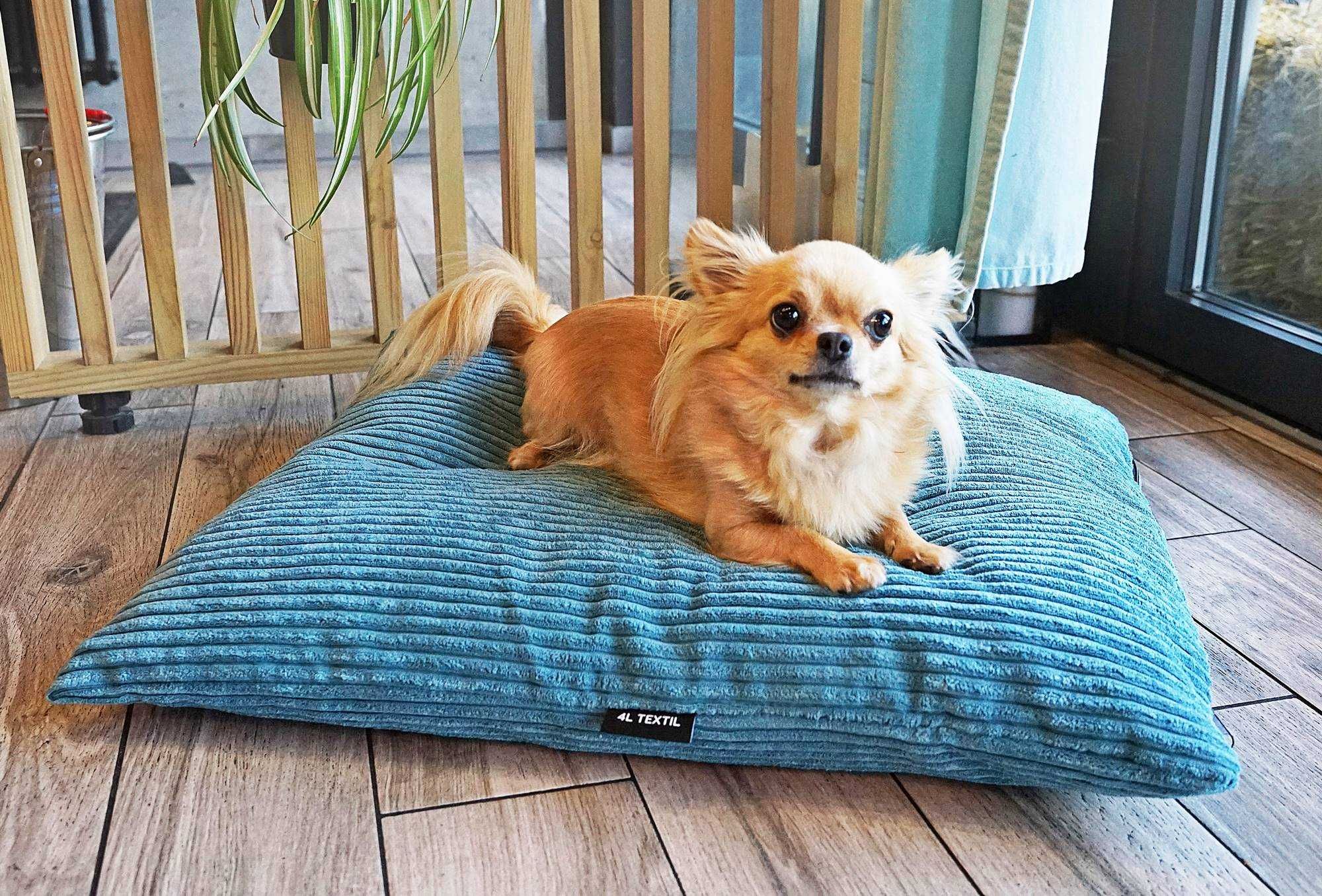 Legowisko poduszka dla psa MOLLY (120x100 cm, Turkus)