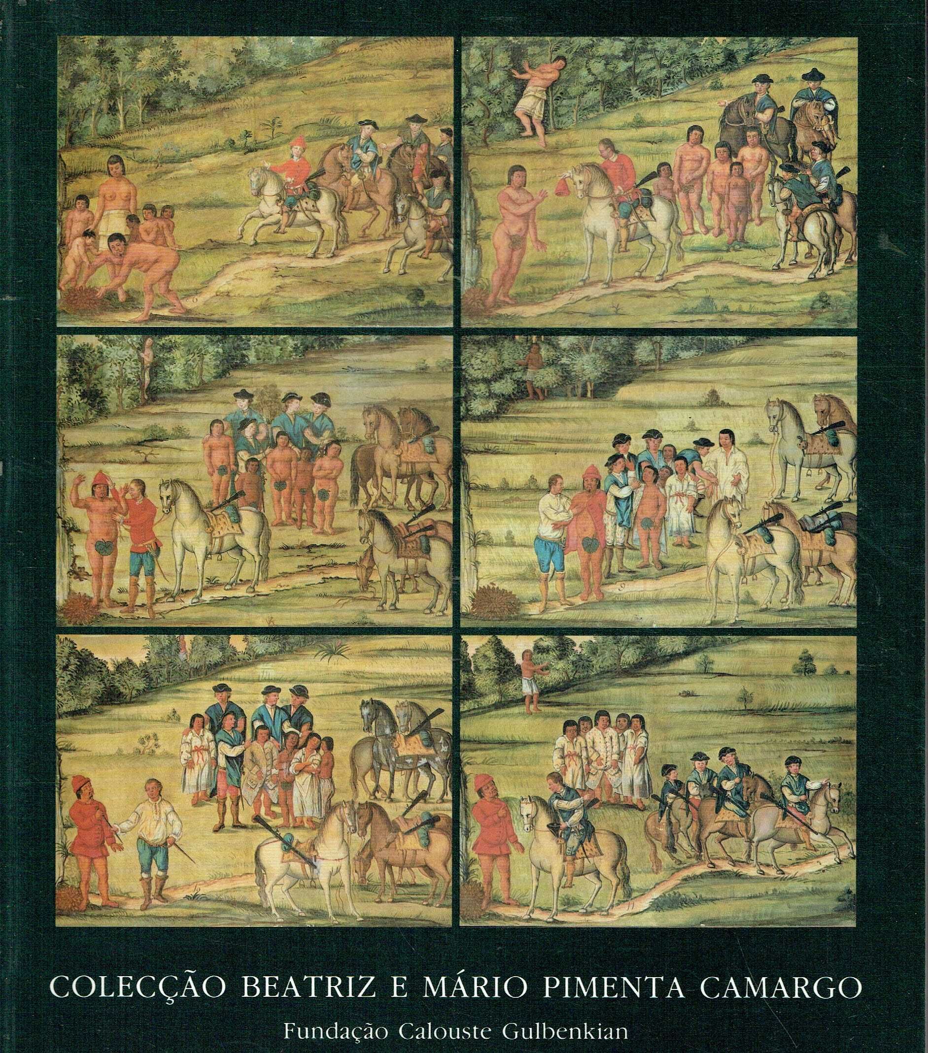 15682

Coleção Beatriz e Mário Pimenta Camargo,