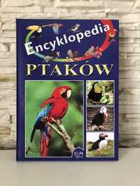 Książka Encyklopedia Ptaków