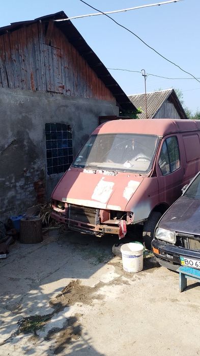 Продам газель(соболь)